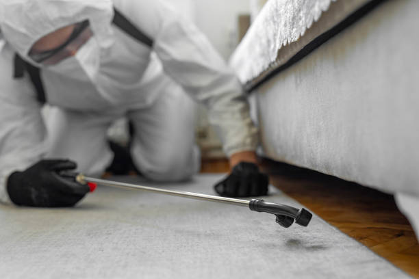 Professional Cockroach Control technician working in Northampton, MA